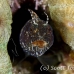 blenny_sailfin_lphr_gc_h_0283_cay4198.jpg